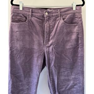 Lovely Ann Loft lavender skinny pants size 12 never worn